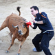 Illustration for article titled Bullfighting, Minus The Blood Or Swishy Uniforms